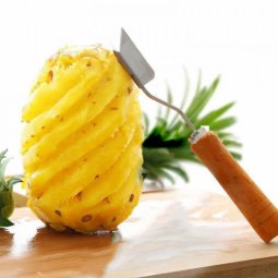 Dụng cụ lấy mắt dứa