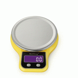 Cân điện tử WH B21