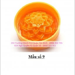 100g Khuôn Trung Thu Nướng-Dẻo Vĩnh Trường