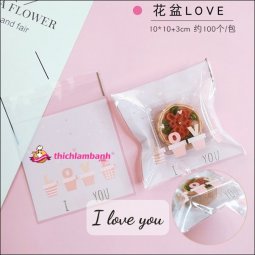 Túi dán mẫu I LOVE YOU 100c