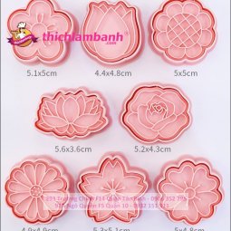 Bộ 8 nhấn bánh quy Hoa / Cookie cutters B112