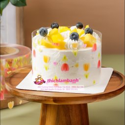 Viền mica cao 8cm mẫu họa tiết 1M