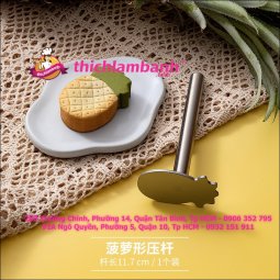 Cây Nhấn Bánh Dứa Hình Trái Dứa