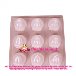 Khuôn nhựa trắng rau câu 9 trái đào