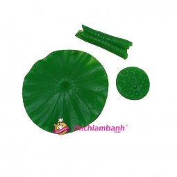 4D Silicon lá sen, gương sen, lá cuốn 1848