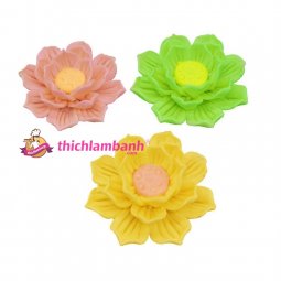 4D Silicon sen nở 5