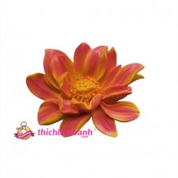 4D Silicon sen nở xòe