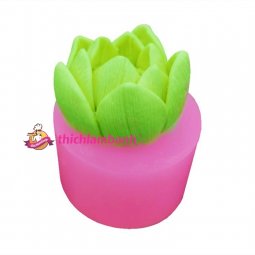 4D Silicon sen thái 5.4