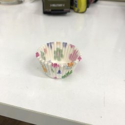 Cup lót Socola C6 250 cái