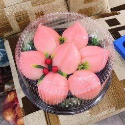 Hộp nhựa đậy tròn A024