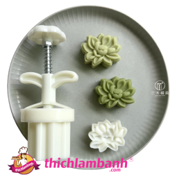 Khuôn lò xo 30G Sen 2023