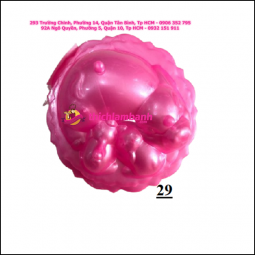 Khuôn rau câu trung thu Ngọc Lan số 29