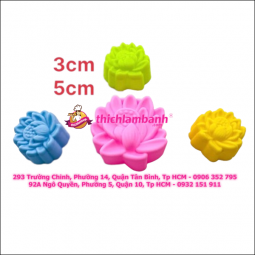 Bộ 10 khuôn silicon rời hoa sen 3-5cm