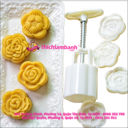 Khuôn lò xo 50G Tròn 4M Hoa 5 cánh