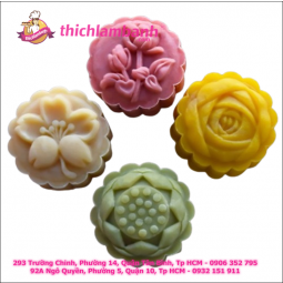 Khuôn lò xo 50G 4M Tròn Hoa A24