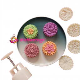 Khuôn lò xo 125G 4M Hoa 4 mẫu 2024