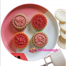 Khuôn lò xo 150G 4M Phù Vân 2024