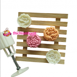 Khuôn lò xo 50G Song Long 2024