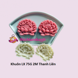 Khuôn lò xo 75G 2M Thanh Liên